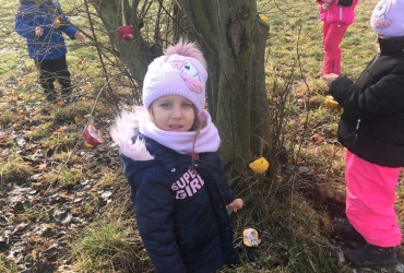 Krmítka pro ptáčky